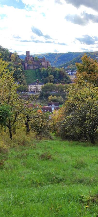 Fewo Traumblick Kreuzwertheim Buitenkant foto