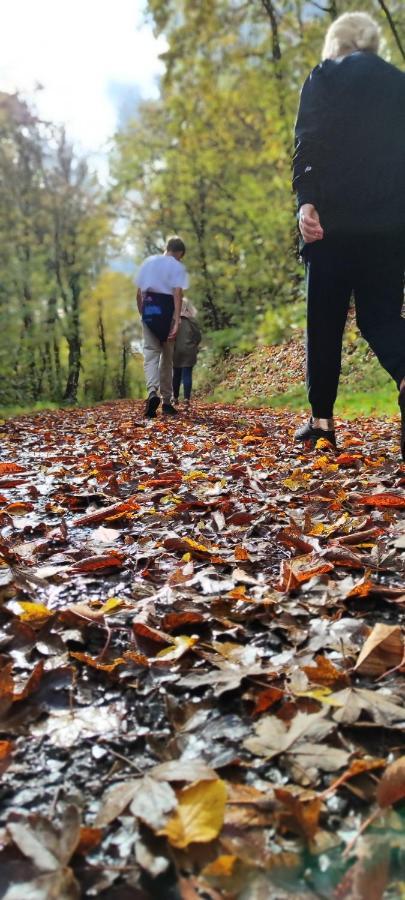 Fewo Traumblick Kreuzwertheim Buitenkant foto